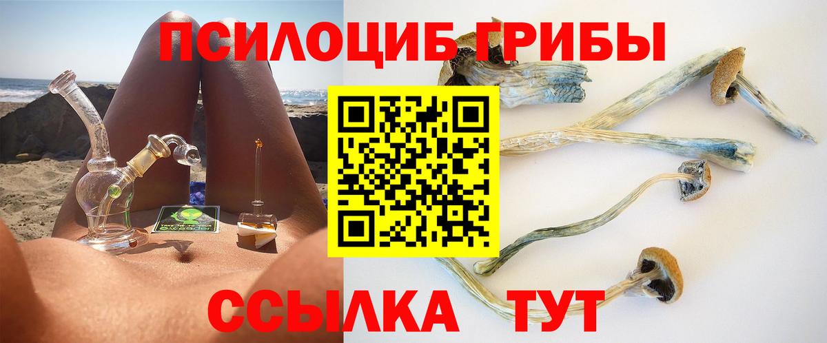 Пенза  Галлюциногенные грибы GOLDEN TEACHER  Вход с VPN 